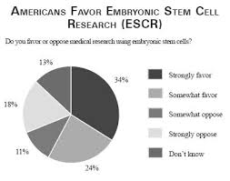 Stem Cells Essay Stem Cell Research Controversy Essay Stem