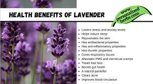 Check spelling or type a new query. What Are The Health Benefits Of Lavender Quora