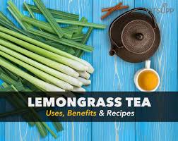lemongr tea benefits recipes and