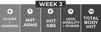 free 2 week full body workout plan