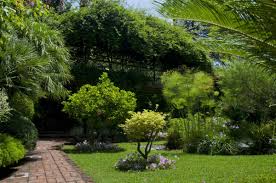 gibraltar botanic gardens must visit