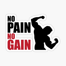 No Pain No Gain Stickers for Sale | Redbubble