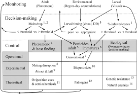 Flow Chart For Managing Dioryctria Species In Conifer Seed