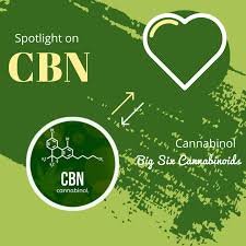 Cbn news is an international, nonprofit news organization. Spotlight On Cbn Cannabinol Your Natural Healthcare