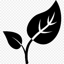 leaf black and white flower