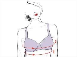 Online Bra Size Calculator Uk Find The Perfect Bra For You
