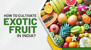 How To Grow Exotic Fruits In India