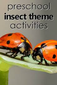 Insect Theme Preschool Activities