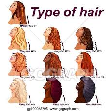 Vector Art Hair Types Chart Displaying All Types And