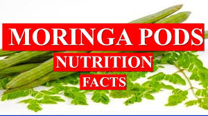 moringa pods health benefits and
