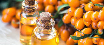 what is sea buckthorn oil and should