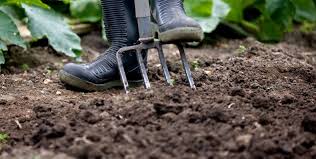 How To Improve Your Garden Soil