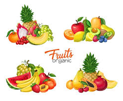 fruits vectors ilrations for free