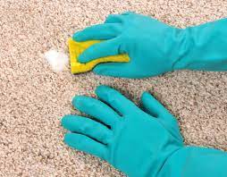 carpet cleaning dry cleaners best