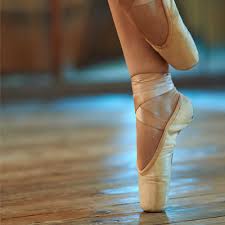 Alvas Ballet Barres Floors And