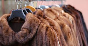 How Much Does A Mink Coat Cost