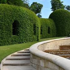 the alnwick garden group visits the
