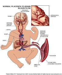 Umbilical Cord Blood Gases And Birth Asphyxia