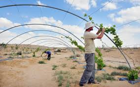 The Middle East Needs Radical Agricultural Transformation