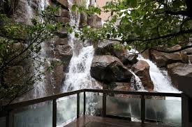 seattle secrets waterfall garden park