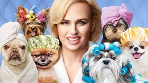 Pooch perfect, the dog grooming competition series, premieres on march 30 on abc. Uj46h7e6 F Oxm