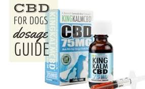 Cbd Dosage For Dogs Clearing Up The Confusion