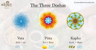 ayurveda doshas the complete guide to