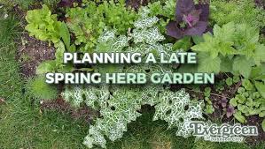 Planning A Late Spring Herb Garden