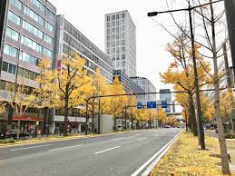 大阪・御堂筋でイチョウ並木が紅葉 落ち葉で歩道も黄色に - 船場経済新聞