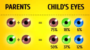 When can you tell the true color of babies eyes? 7 Things That Can Change Your Eye Color Youtube