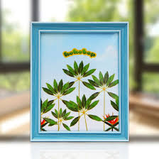 Picture Frame With Plexiglass Gallery