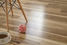 how to choose pet friendly flooring