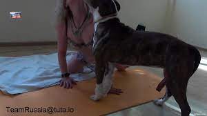 Skilled zoophile dominatrix fucks a dog for her cuck