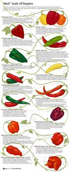 Info Chili Pepper Information The Scoville Heat Scale