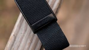 The whoop watch and fitbit both have value, it just depends on what you are looking for. Whoop Strap 3 0 Review Personalized Strain And Recovery On Your Wrist