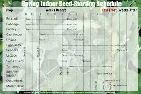 Spring Indoor Seed Starting Schedule Northern Homestead