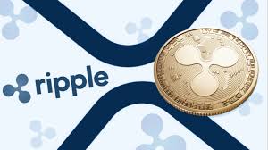 Xrpbnb xrp / binance coin. Ripple May Burn Billions Worth Xrp Says Ripple Cto What Is Ripple And All You Need To Know