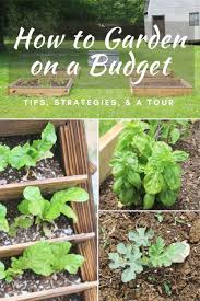 How To Garden On A Budget Skate Cook
