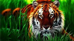 Animal Tiger 3D Wallpaper