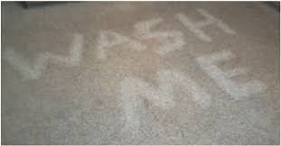 pristine floor care carpet cleaning in