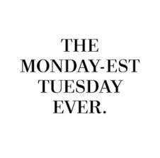 Are you looking for quotes about tuesday? 50 Amazing Tuesday Morning Funny Quotes Images