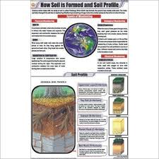 How Soil Is Formed And Soil Profile Chart N C Kansil
