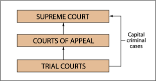 About California Courts Ca_courts