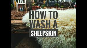 how to wash a sheepskin it s easier