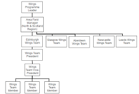 Red Bull Organizational Structure Research Methodology