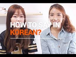 how to say cosmetic terms in korean
