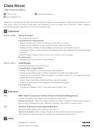 Writing a ceo resume can seem daunting. Chief Executive Officer Ceo Resume Template Examples