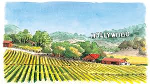 In wine country, amy poehler, maya rudolph, rachel dratch, ana gasteyer, paula pell, and emily spivey all seem to be having a blast, but the resultant movie is unfunny and forgettable. An Snl Girls Trip Inspired Amy Poehler S Netflix Movie Wine Country Hollywood Reporter