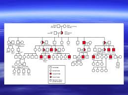 Pedigree Charts The Family Tree Of Genetics Overview I What