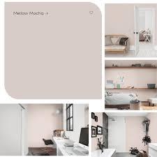 What Colours Go With Mellow Mocha